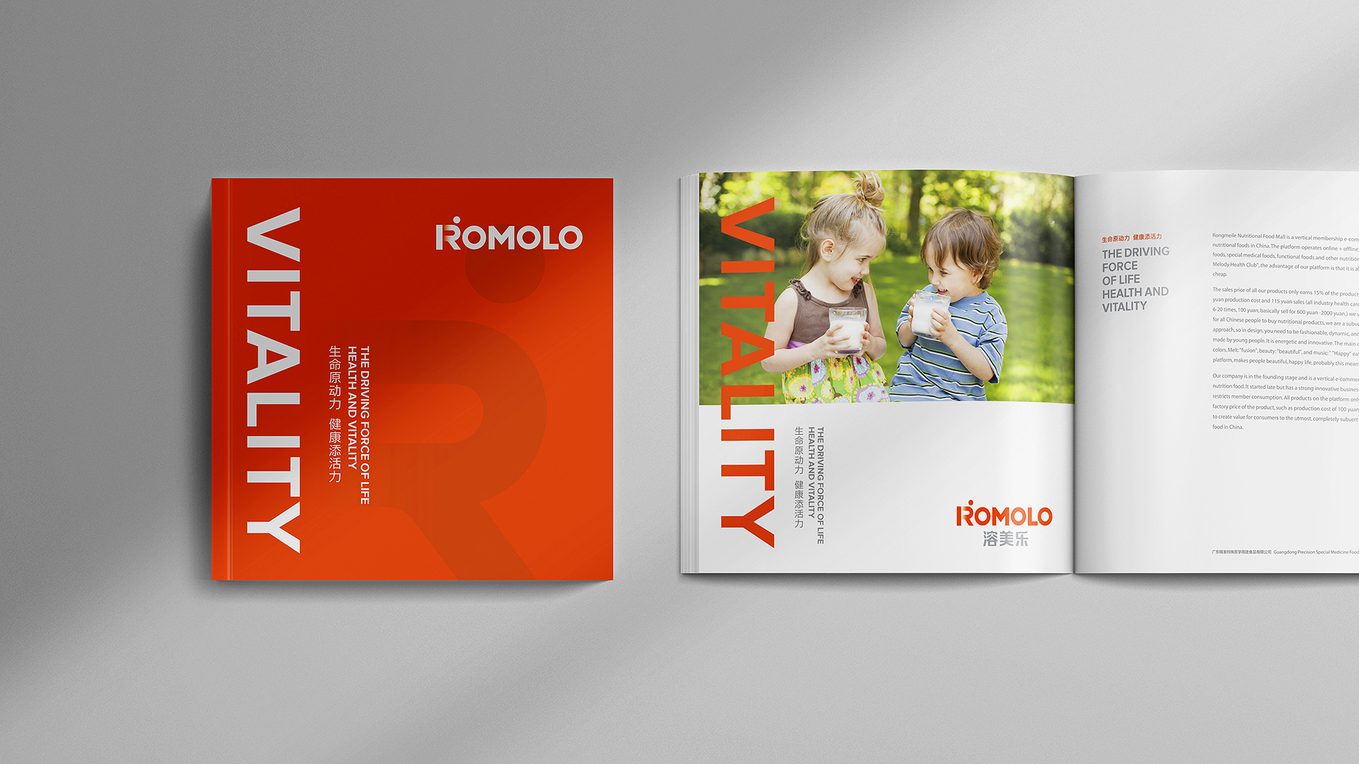 優(yōu)秀VI設(shè)計(jì)