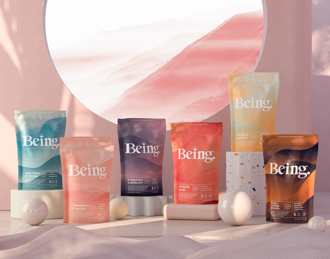 零食品牌包裝設(shè)計(jì)